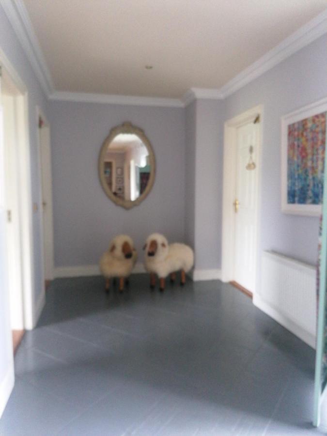Fiuise B&B ดิงเกิล ภายนอก รูปภาพ